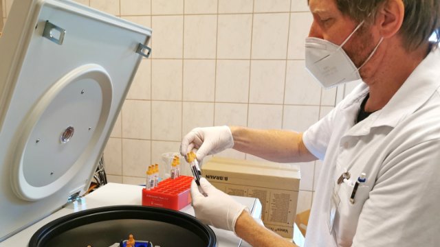 UKJ-Wissenschaftler untersuchen Langzeitverhalten von Antikörpern und Abwehrzellen