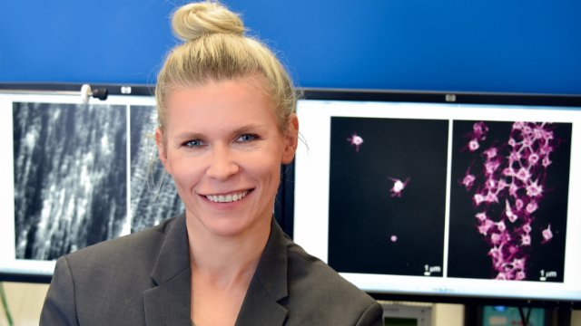 Hilfe bei der Verbesserung von Implantaten