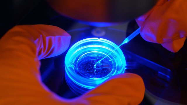 Wie spät ist es auf der biologischen Uhr?  