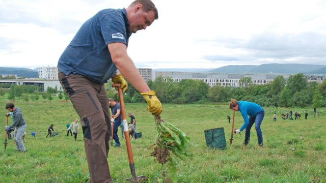 Aktion für die Artenvielfalt am UKJ