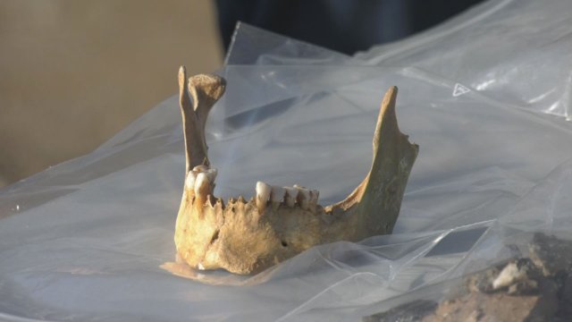 Knochenfund aufgeklärt: Auf der Schwimmhallen-Baustelle in Lobeda gehen die Arbeiten voran