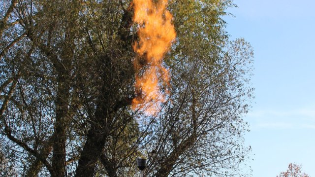 Gasfackel im Paradies 