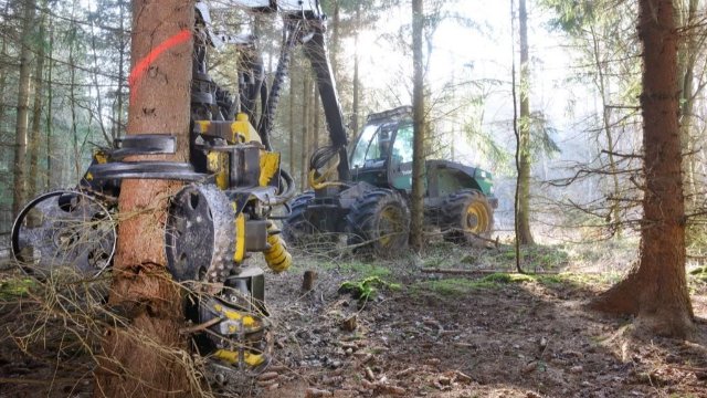 Kunststoff der Zukunft ist aus Holz