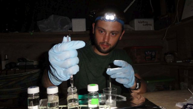 Neuer Forschungsbereich: Der Duft süßer Früchte