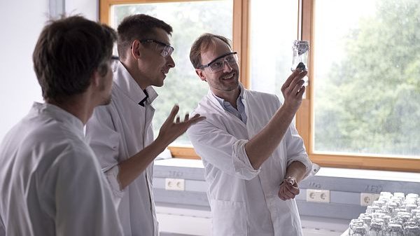 Veränderte Algen-Moleküle verfälschen Nachweis für erstes tierisches Leben