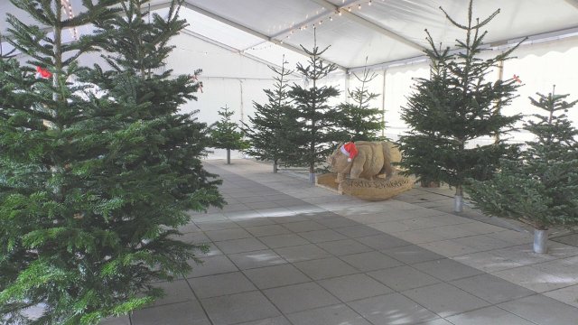 Weihnachtsbaum: In der Johannisstraße wurde ein Innenstadt-Verkauf organisiert   