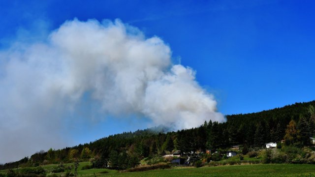 Waldbrandgeschehen im dritten Jahr auf hohem Niveau