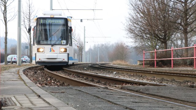 Umgestürzter Baum führt zu Straßenbahnumleitungen