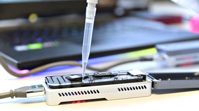 Studie zu Viruslinien 