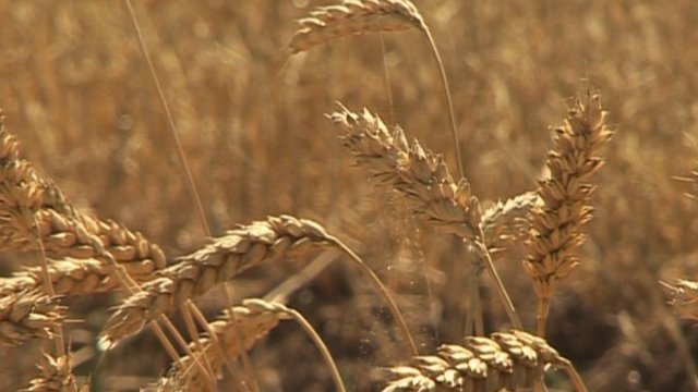 Agrarbetriebe können Bundesförderung beantragen