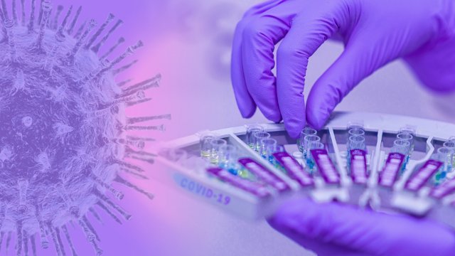 59 neu gemeldete Corona-Infektionen – Sieben-Tage-Inzidenz wieder über 200