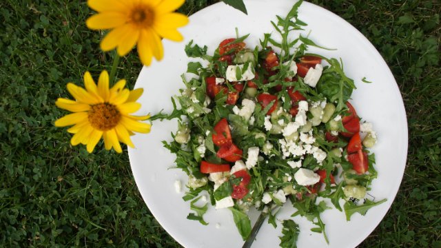 Pfunde sollen mit Handy-App purzeln