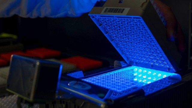 QuaIitätssicherung für Bioproben 