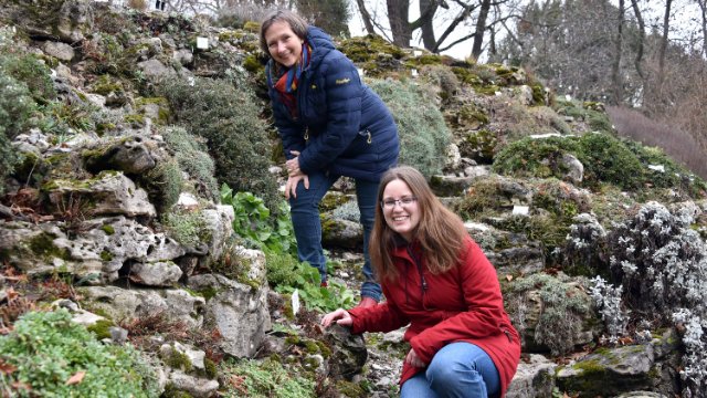 Herbst und Frühjahr sind eng verbunden