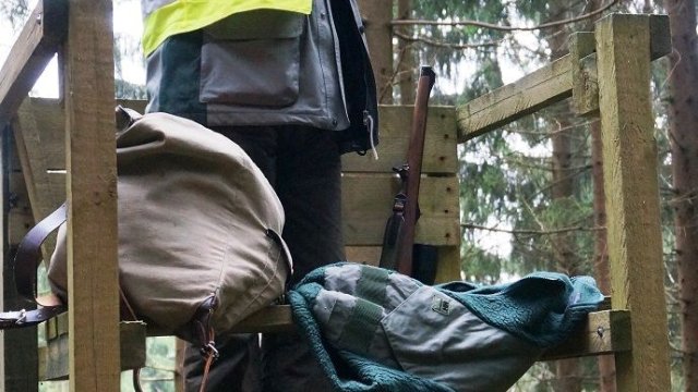 ThüringenForst beendet Jagdsaison 2020/21