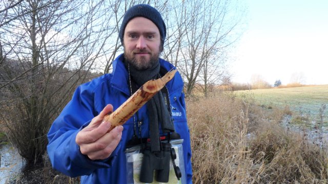 Projektlaufzeit „Bibermanagement in Thüringen“ verlängert
