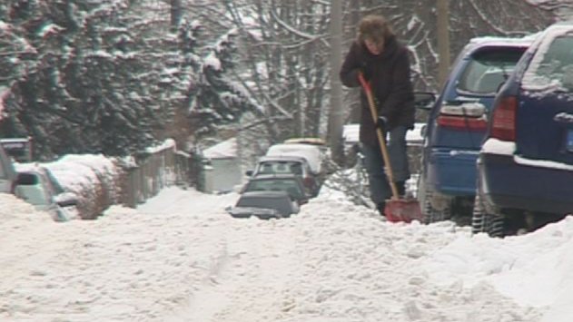 Schonender Einsatz von Streusalz