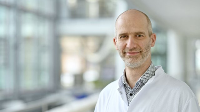 Medizin rund um die Leber