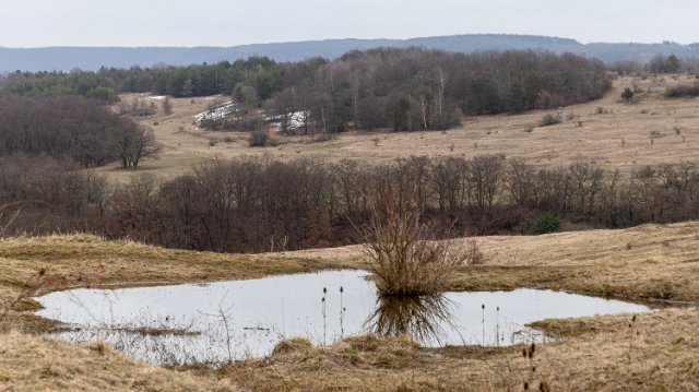 Naturschutzgebiet Windknollen bei Jena besucht