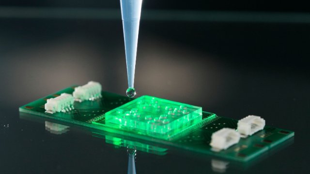 Bund fördert neues Leibniz-Zentrum für Photonik in der Infektionsforschung 