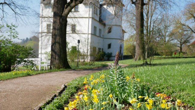 Dornburger Pflanzenbörse erneut abgesagt
