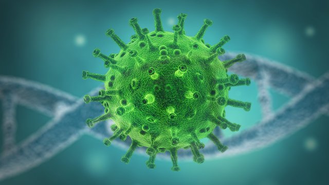 22 neue Corona-Infektionen in Jena – Neue Meldesoftware eingeweiht