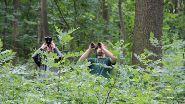 Vierte Bundeswaldinventur startet