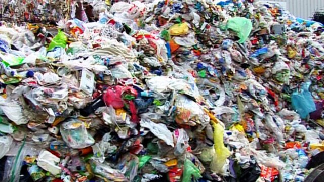 Bewerbungsfrist für Kinder- & Jugend-Umweltpreis verlängert 