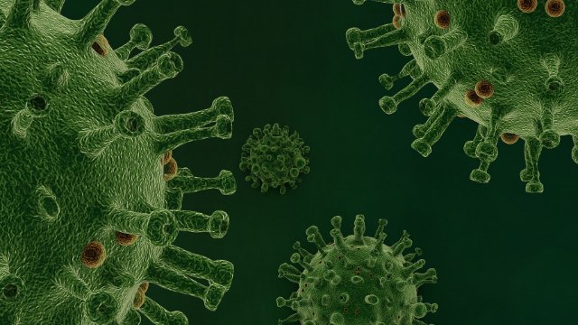 Drei Corona-Infektionen im Saale-Holzland-Kreis