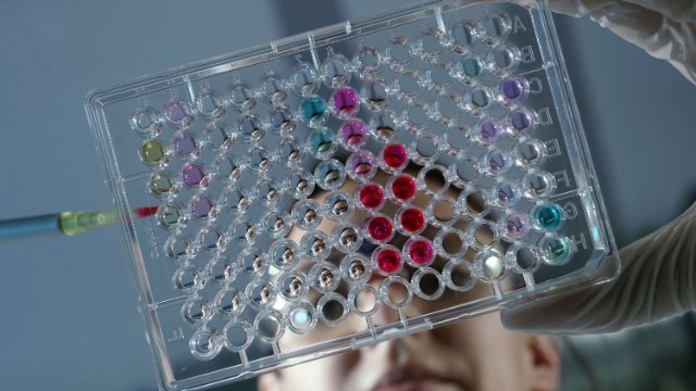 36 Millionen Euro für Jenaer Forschungskonsortien 