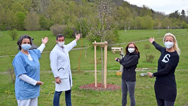 Ein Apfelbaum zum Erinnern
