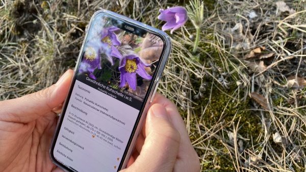 Mit Smartphones den ökologischen Wandel erfassen