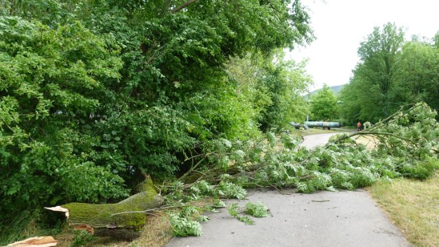 Gewitter mit Regen und Sturm: Keine größeren Schäden in Jena