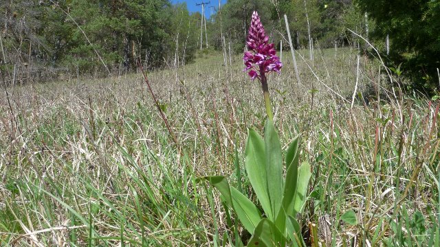 NABU Thüringen: Viele Verstöße in Naturschutzgebieten
