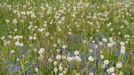 Sammelband zur Bioökonomie erschienen