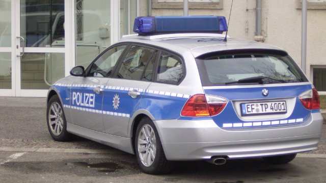 Kuhherde blockierte Straße