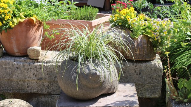 Sonderausstellung „Keramik-Garten: Garten-Keramik"