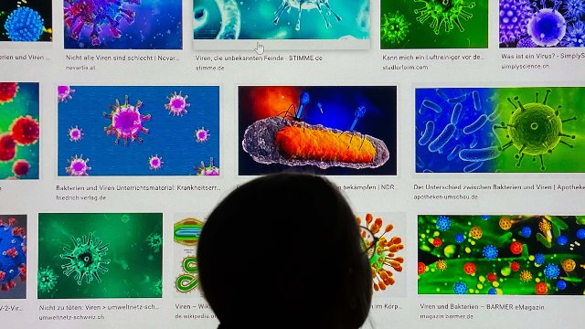Eine Datenbank für Viren 