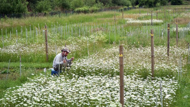 Zusätzliche Millionen für Biodiversitätsforschung 
