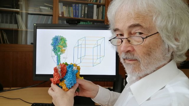 Dieser Membranrezeptor besteht aus vier Untereinheiten, von denen drei verschieden sind. 