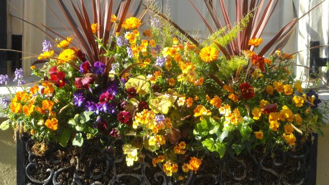 Bewerbungen für „Preis für Grüne Oasen in Jena“