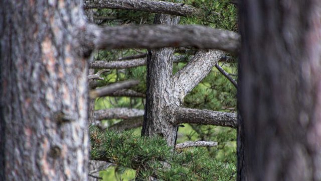 Mehr Rücksicht in der Natur