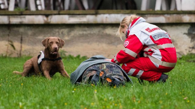 Johanniter-Rettungshundestaffel Jena zu Gast 