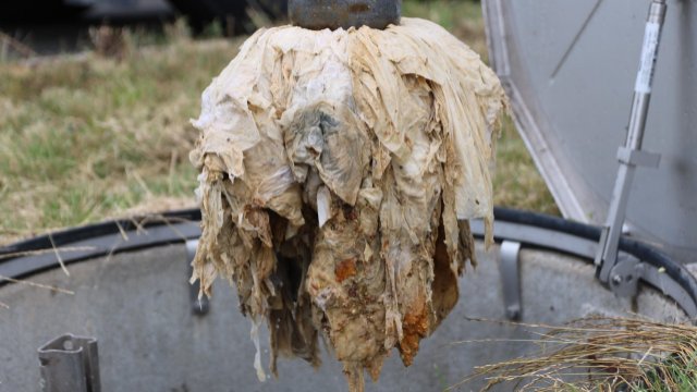 Hinweise zum Internationalen Tag des Toilettenpapiers 