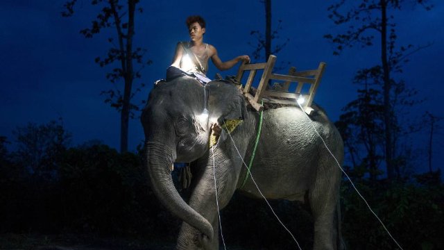 Solar-Porträts in der Kirche Großlöbichau