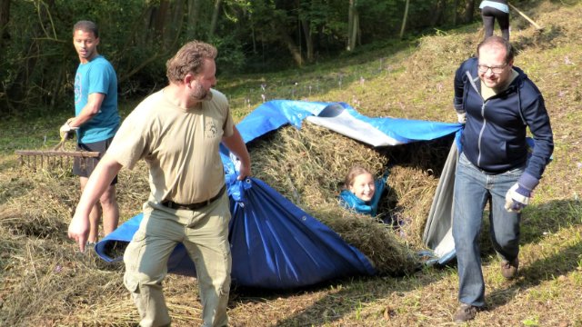 Wiesenputz für den Orchideenschutz