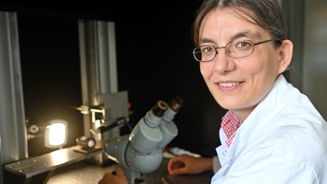 Heisenberg-Professorin erforscht Ionenkanäle