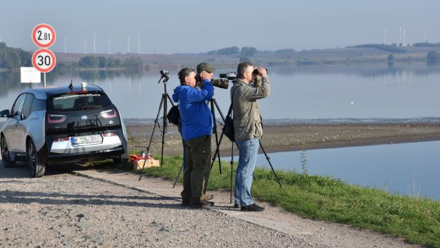 Einladung zur Zugvogelbeobachtung  