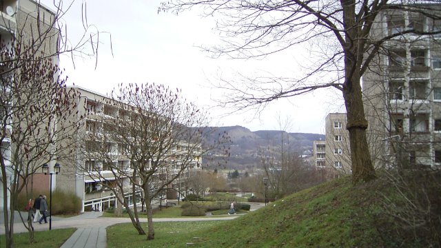 Stadtrats-Bekenntnis gegen Rassismus und Rechtsextremismus