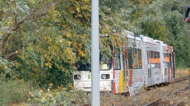 Sturmtief sorgt für Verspätungen bei Bus und Bahn